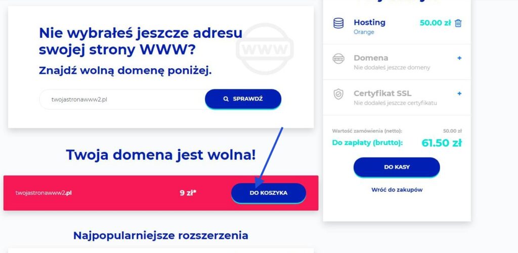lh.pl hosting